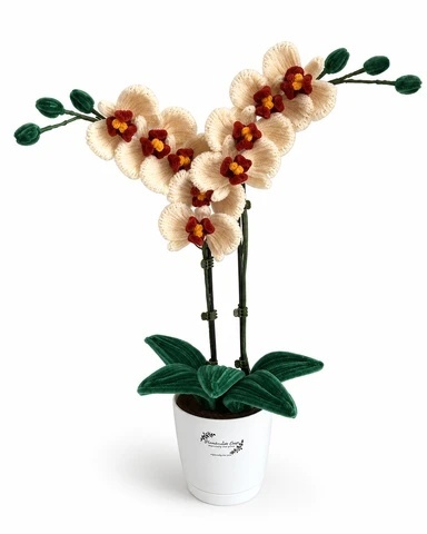 Golden Orchid